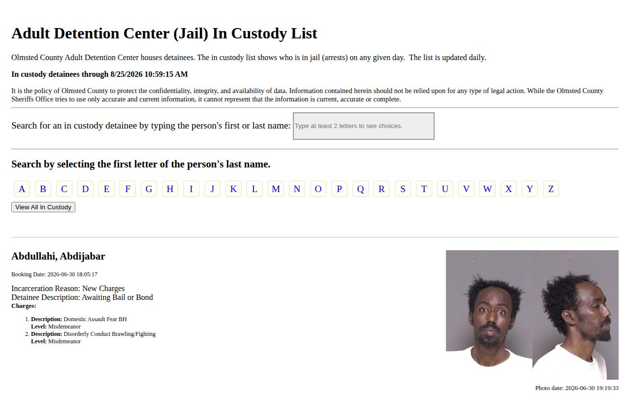 Olmsted County Adult Detention Center in-custody roster record interface